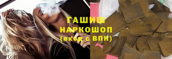 гашик Алексин
