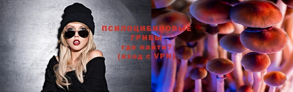 ПСИЛОЦИБИНОВЫЕ ГРИБЫ Алексеевка