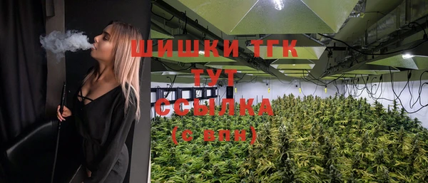 твердый Алзамай