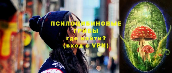 ПСИЛОЦИБИНОВЫЕ ГРИБЫ Алексеевка