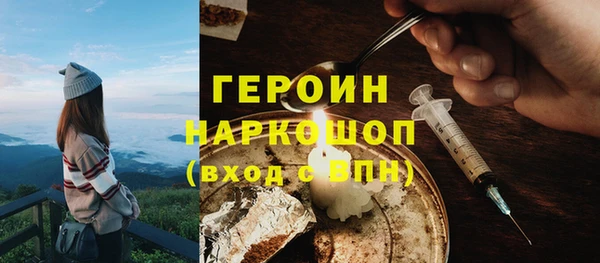 индика Новозыбков