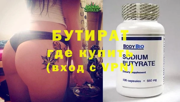 индика Новозыбков
