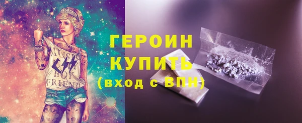 гашик Алексин